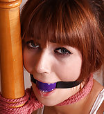 Roped to the banister and ball-gagged